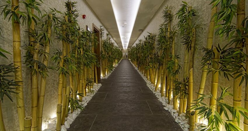 Çam Hotel Thermal Resort & Spa