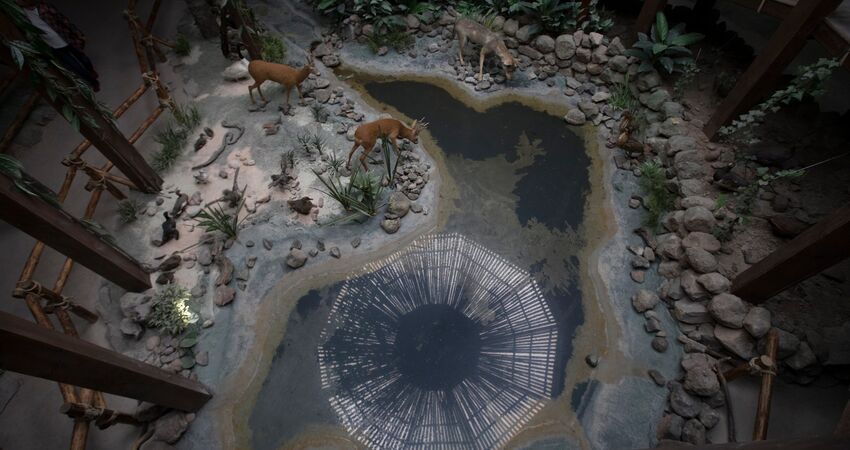 Çam Hotel Thermal Resort & Spa