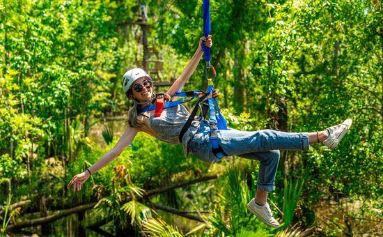 Günübirlik Sapanca Ormanya Maşukiye Turu