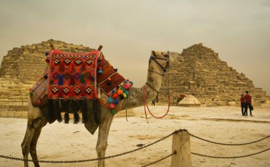 Sharm El Sheikh Turu Kurban Bayramı Özel Türk Havayolları ile 5 Gece 6 Gün (25-30 Mayıs)