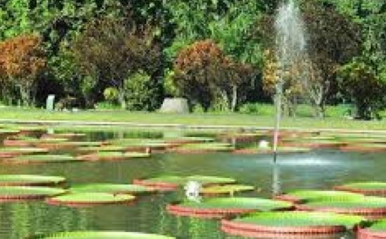 Endonezya Malezya Bali Turu 12 Gün EJ001