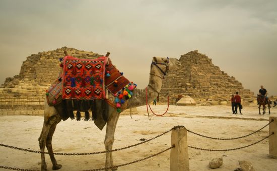 Sharm El Sheikh Turu Kurban Bayramı Özel Türk Havayolları ile 5 Gece 6 Gün (25-30 Mayıs)