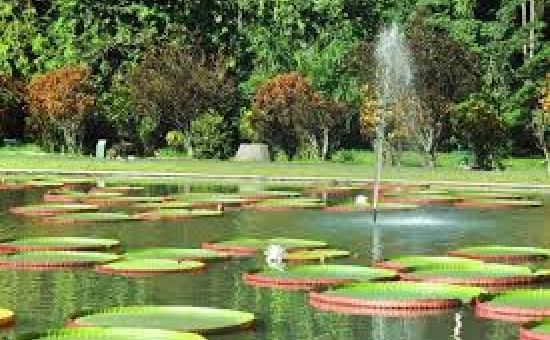 Endonezya Malezya Bali Turu 12 Gün EJ001