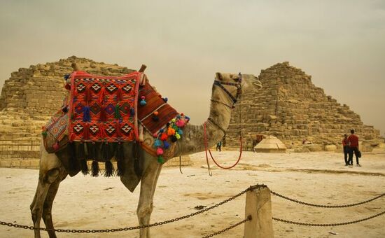 Promosyon Sharm El Sheikh Turu Ajet ile 3 Gece Otelden Erken Çıkışlı