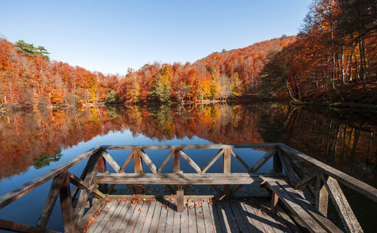  Günübirlik Gölcük & Abant Turu