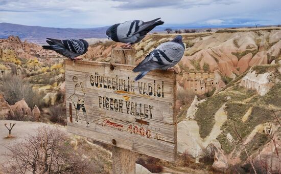 Günübirlik Kapadokya Turu