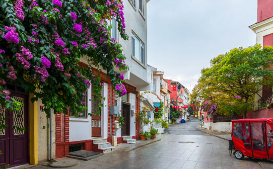 Eskişehir Çıkışlı Konaklamalı İstanbul Adalar Keyif Turu