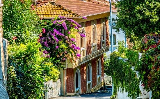 Eskişehir Çıkışlı Konaklamalı İstanbul Adalar Keyif Turu